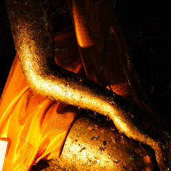 Buddha's hand glowing in the dim cave light