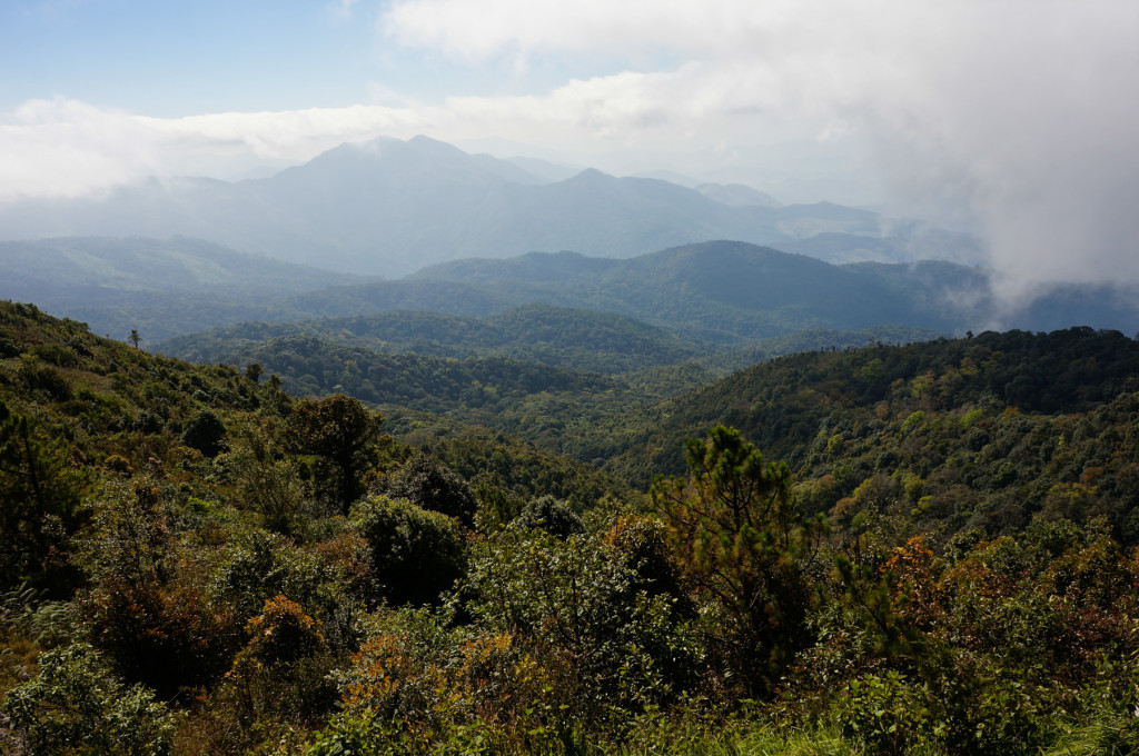 The view from the twin Chedis, not quite to the peak of Doi Inthanon