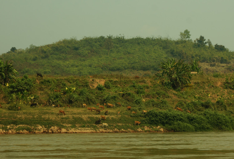 Mekong River Trip-17
